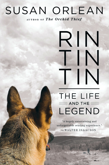 rin tin tin