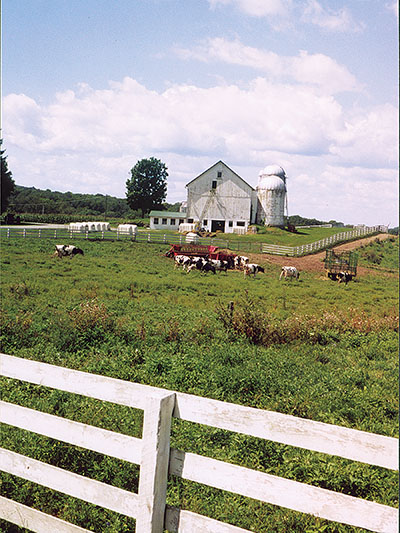 bellvale farms