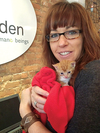 morgan's cat cafe