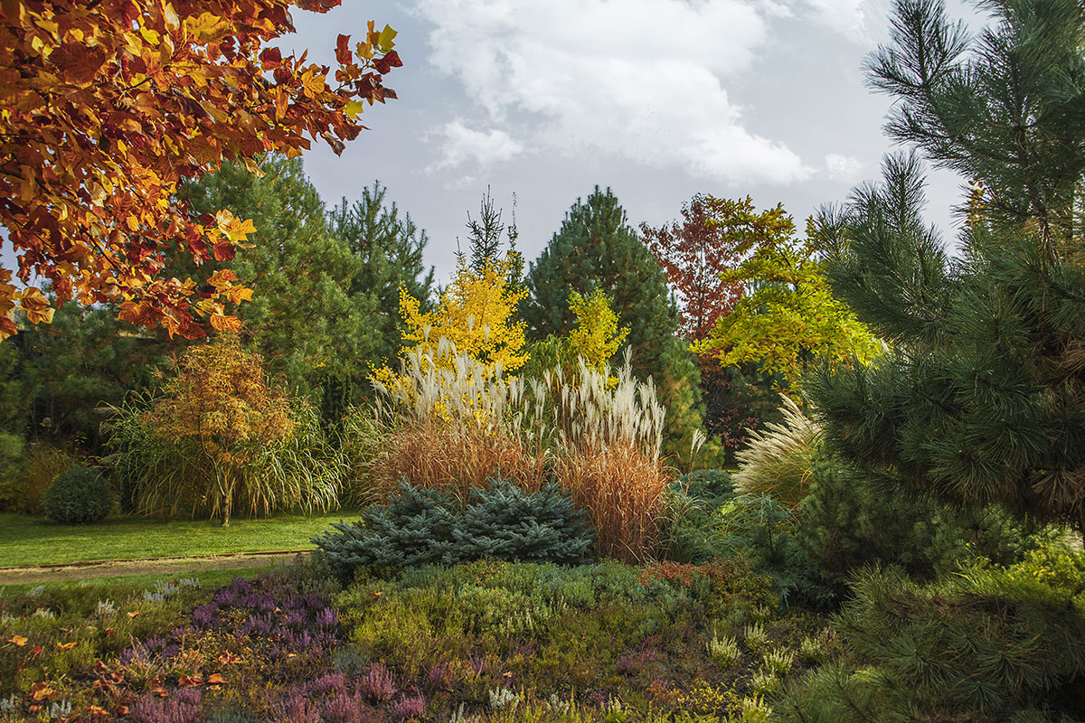 Flowering Fall Garden