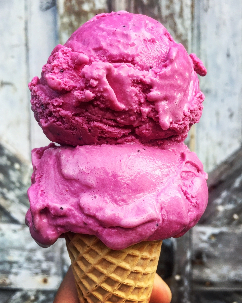 How to Be an Ice Cream Maker A Saugerties Millennial Scoops Success