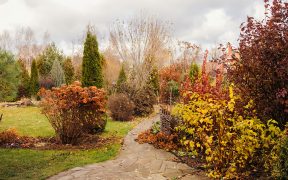 Autumn-Garden-Upgrades