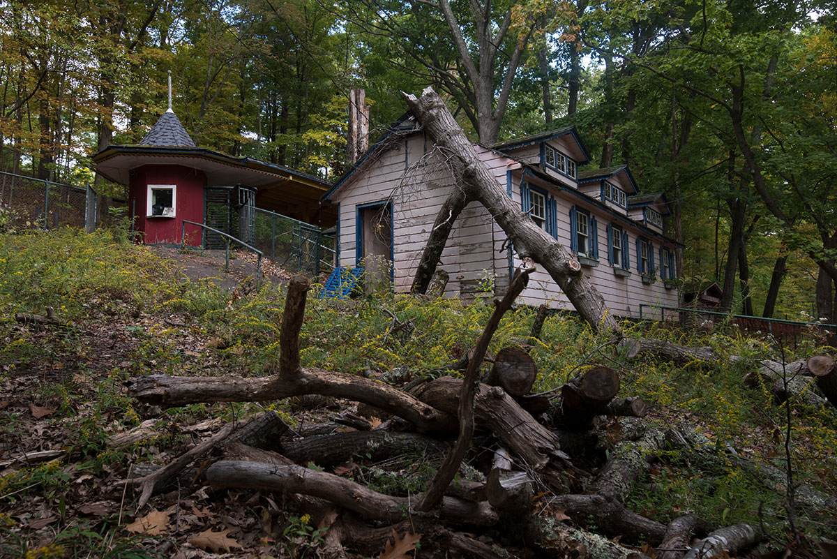 Catskill Game Farm Had Some Wildlife Art Catskill Game Farm Art