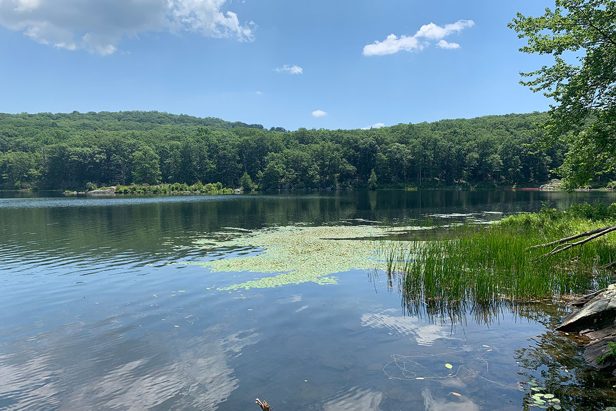 What to Do in Pawling How to Spend a Day in Eastern Dutchess