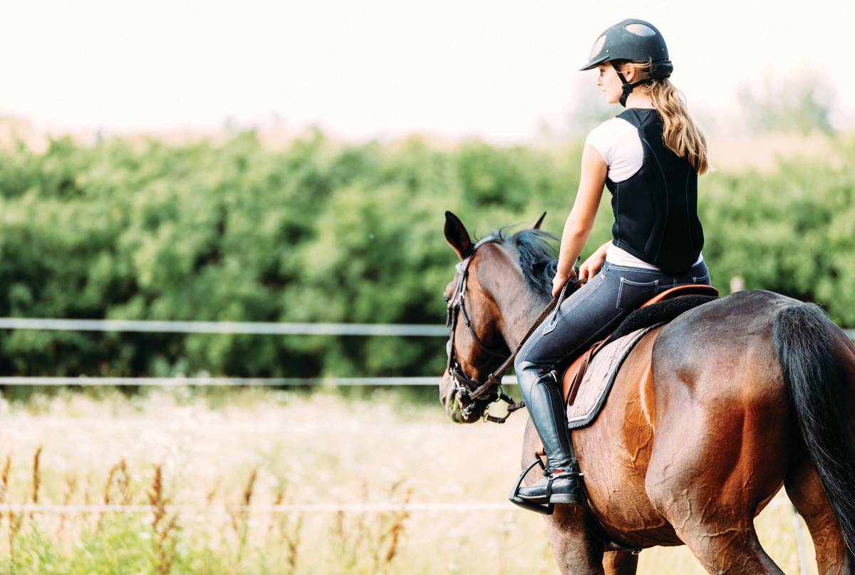 An Equestrian s Guide To Horseback Riding In The Hudson Valley