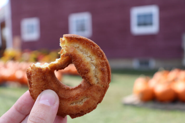 The Best Apple Cider Donut Destinations in the Hudson Valley