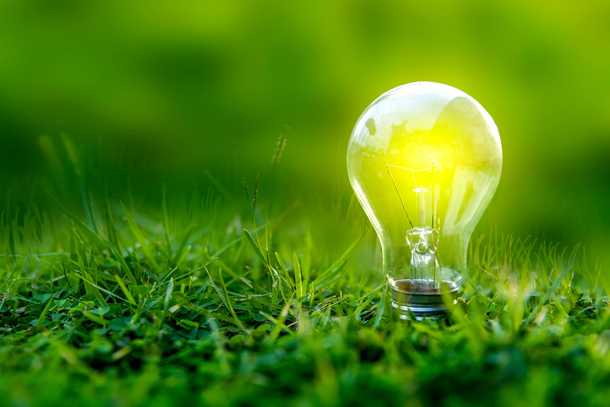 Zinc8 Energy Solutions to Plant Roots in the Hudson Valley