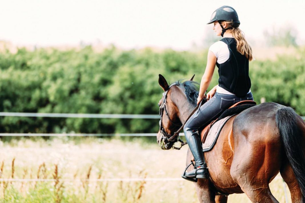 An Equestrian's Guide to Horseback Riding in the Hudson Valley